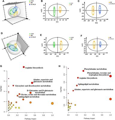 Comprehensive Analysis of Fecal Microbiome and Metabolomics in Hepatic Fibrosis Rats Reveal Hepatoprotective Effects of Yinchen Wuling Powder From the Host-Microbial Metabolic Axis